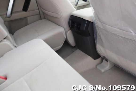 Toyota Land Cruiser Prado in Gray for Sale Image 4