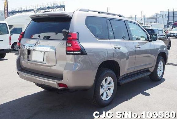 Toyota Land Cruiser Prado in Gray for Sale Image 2