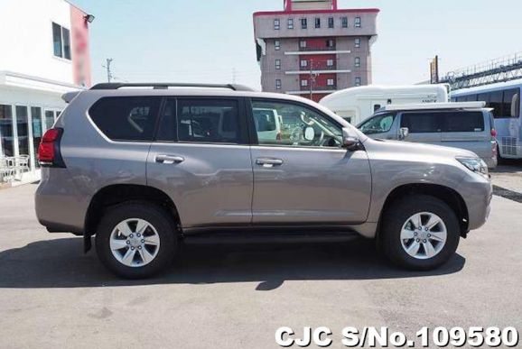 Toyota Land Cruiser Prado in Gray for Sale Image 6