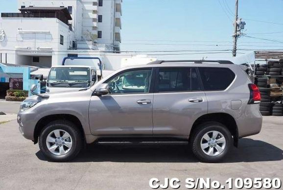 Toyota Land Cruiser Prado in Gray for Sale Image 7