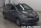 Toyota Vitz in Gray for Sale Image 0