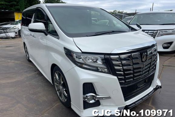 2015 Toyota / Alphard Stock No. 109971