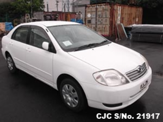 2003 Toyota Corolla White for sale  Stock No 21917  Japanese Used Cars  Exporter