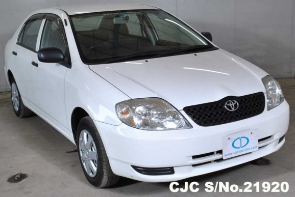 2003 Toyota / Corolla Stock No. 21920