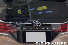 2023 Toyota / Alphard Stock No. 111910
